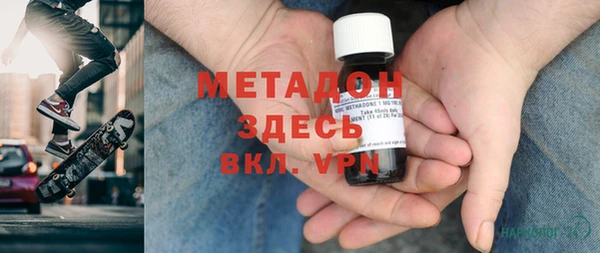индика Алексин