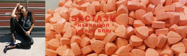 индика Покачи