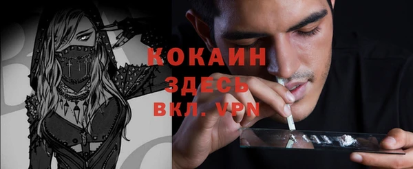 амф Алексеевка