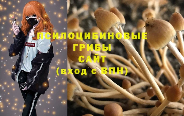амф Алексеевка