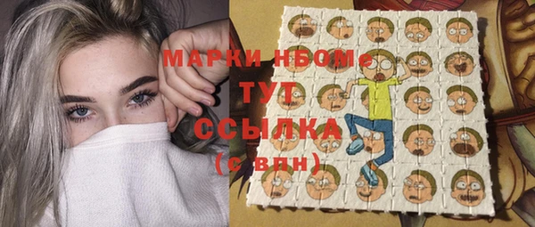 индика Алексин