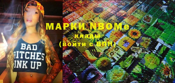 индика Алексин